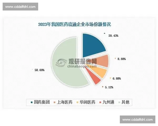 从排名第三看竞争格局变化与突破机会的深度解析行业发展趋势启示