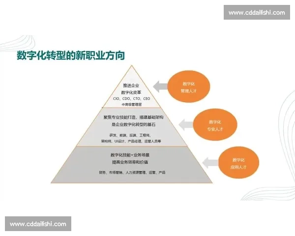退役军人职业转型指南与多路径发展策略解析